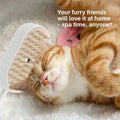 3-in-1 Steam Grooming Brush